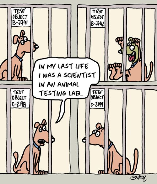 "In my last life I was a scientist in an animal testing lab..."