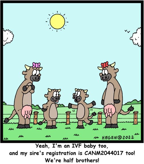 "Yeah, I'm an IVF baby too, and my sire's registration is CANM2044017 too! We're half brothers!"