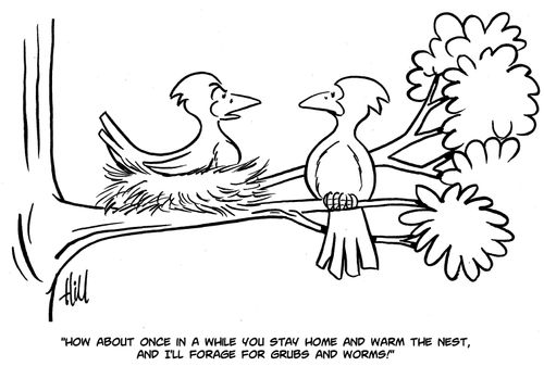 "How about once in a while you stay home and warm the nest, and I'll forage for grubs and worms!"