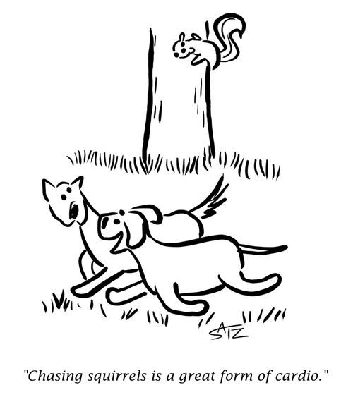 "Chasing squirrels is a great form of cardio."