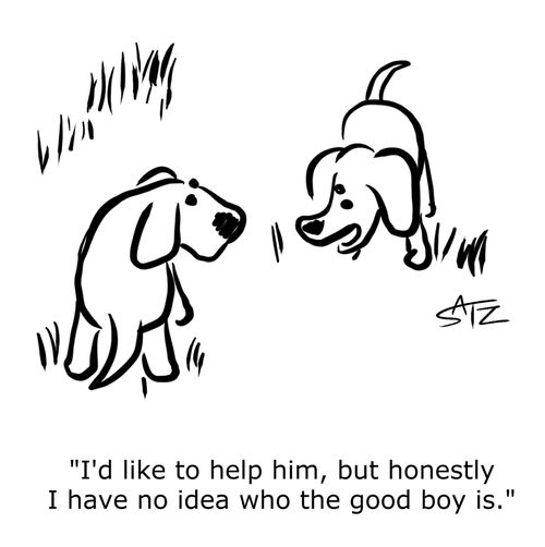 "I'd like to help him, but honestly I have no idea who the good boy is."