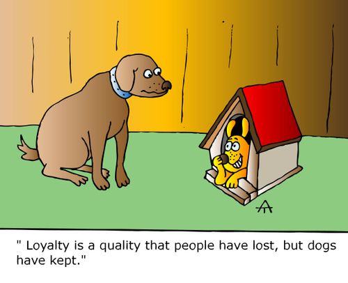 "Loyalty is a quality that people have lost, but dogs have kept."