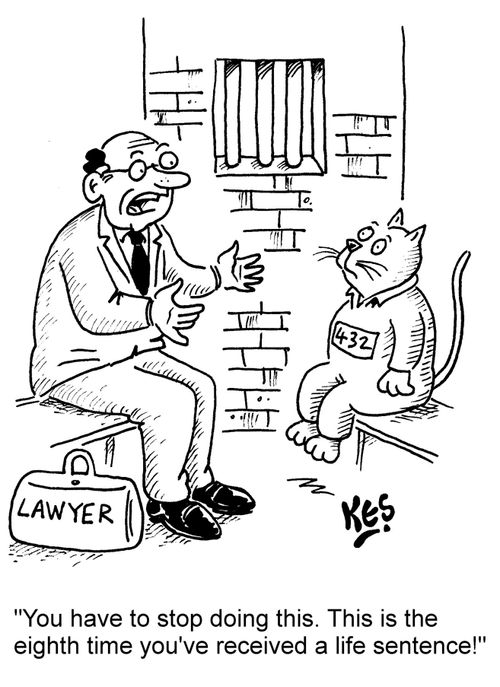 "You have to stop doing this. This is the eighth time you've received a life sentence!"