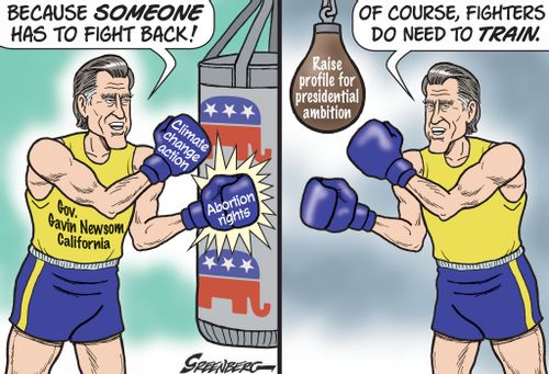 Gavin Newsom Fighter