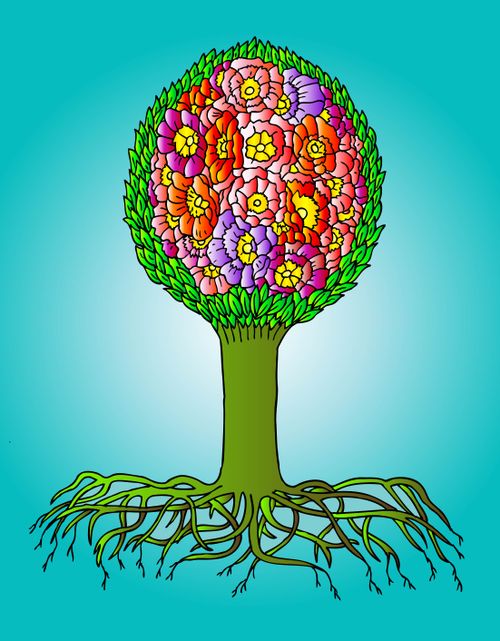 Blooms