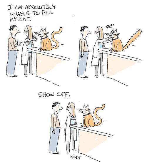 "I am absolutely unable to pill my cat."
