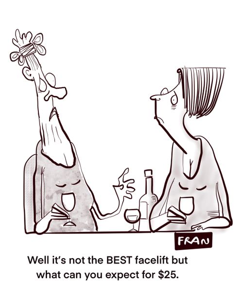 "Well it's not the BEST facelift but what can you expect for $25."