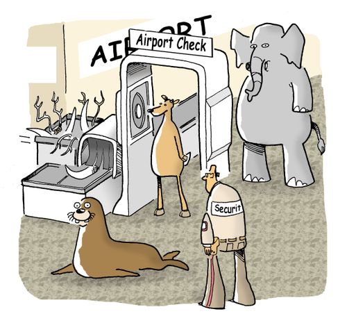 Elephant at Airport Security