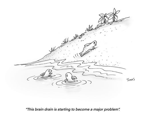 "This brain drain is starting to become a major problem."