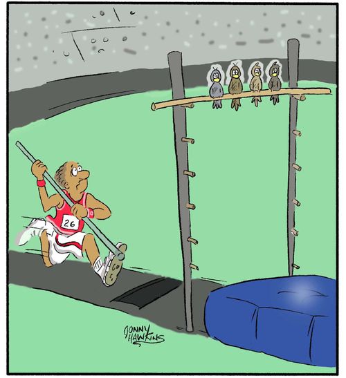 Pole Vault Birds