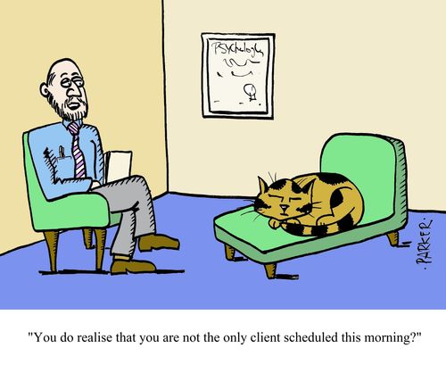 "You do realise that you are not the only client scheduled this morning?"