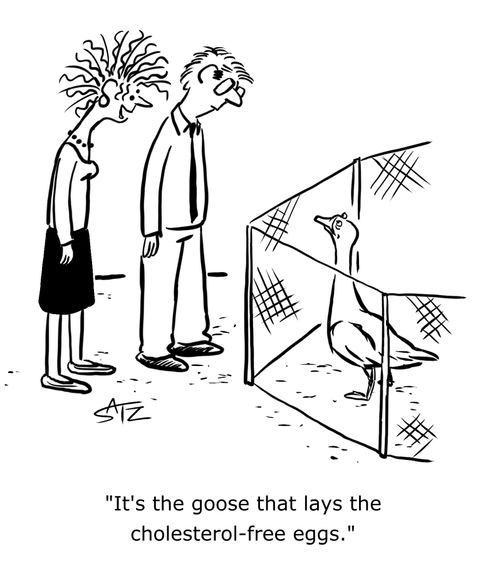 "It's the goose that lays the cholesterol-free eggs."