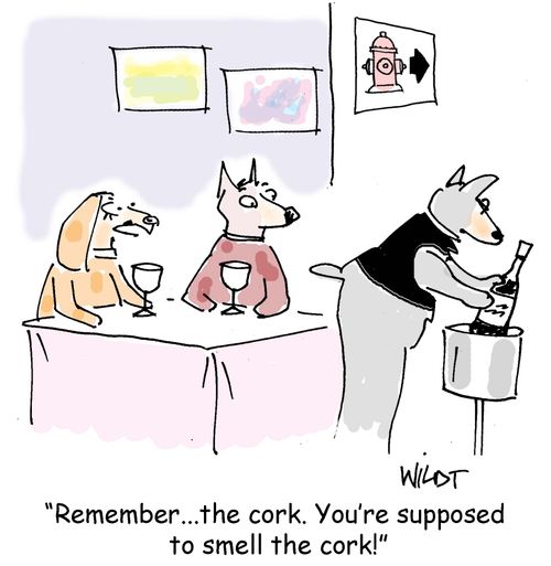 "Remember... the cork. You're supposed to smell the cork!"
