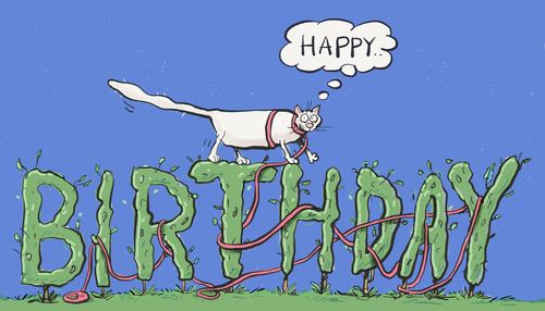 Birthday Cat