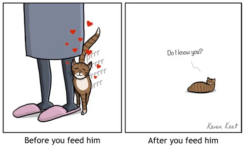 Before you feed him/After you feed him.