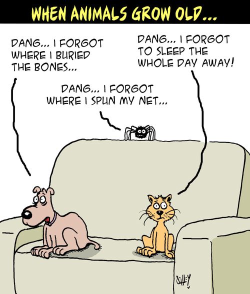 When Animals Grow Old...