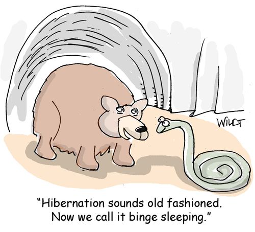"Hibernation sounds old fashioned. Now we call it binge sleeping."