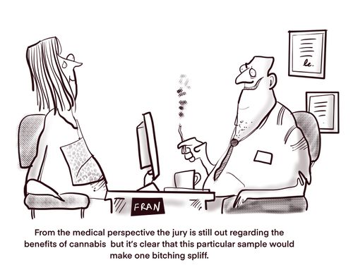 "From the medical perspective the jury is still out regarding the benefits if cannabis. . ."