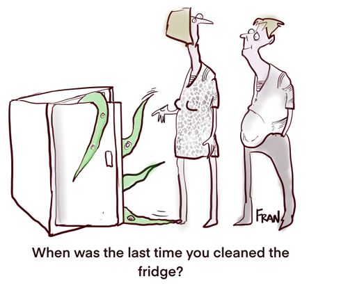 "When was the last time you cleaned the fridge?"