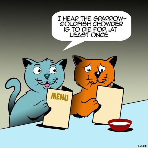 "I hear the sparrow-goldfish chowder is to die for...at least once."