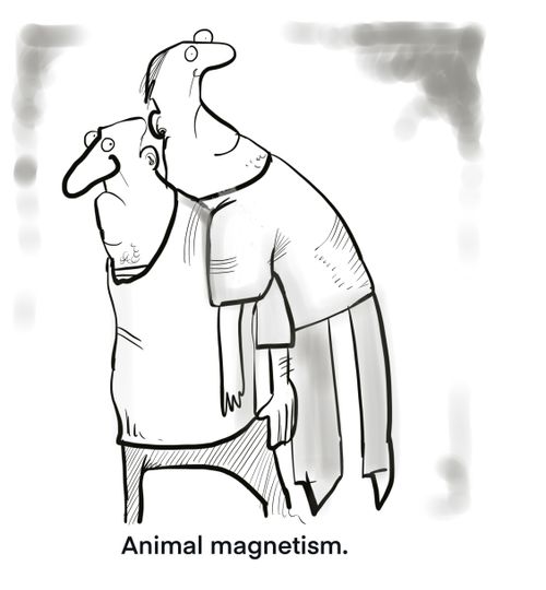 Animal Magnetism