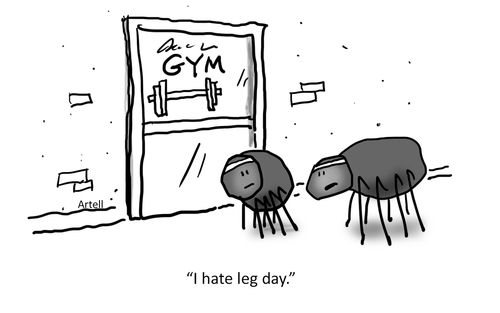 "I hate leg day."