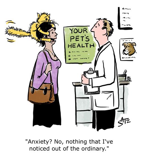 "Anxiety? No, nothing that I've noticed out of the ordinary."