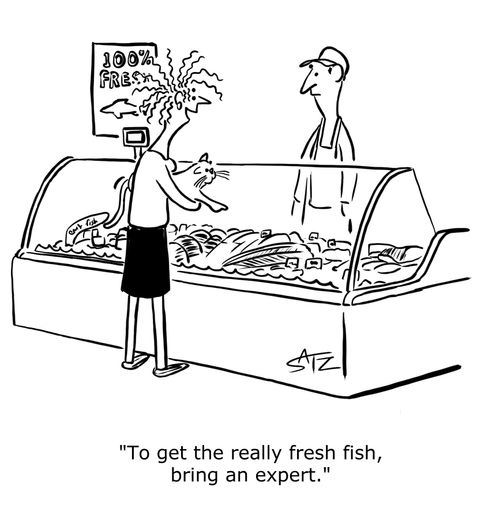 "To get the really fresh fish, bring an expert."