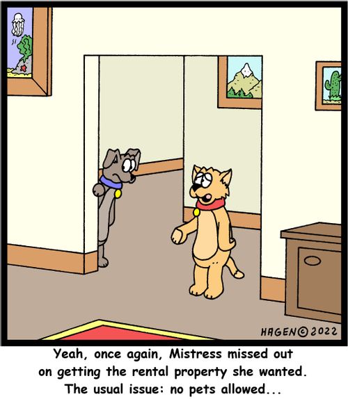 Yeah, once again, Mistress missed out on getting the rental property she wanted. The usual issue: no pets allowed...