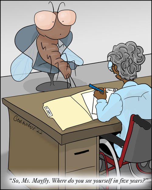 "So, Ms. Mayfly. Where do you see yourself in five years?"