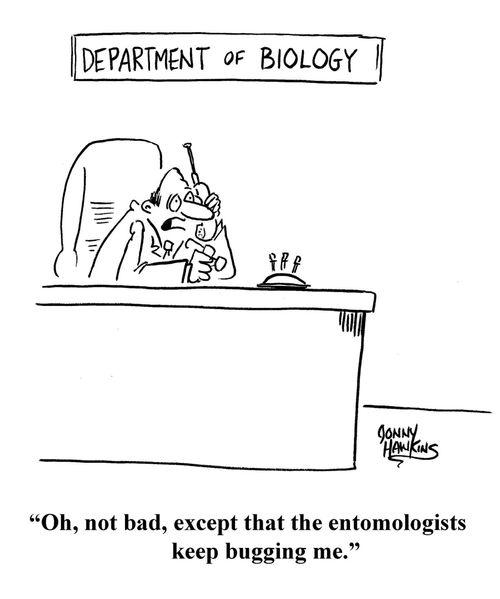 "Oh, not bad, except that the entomologists keep bugging me."