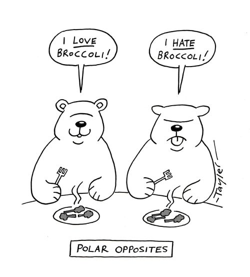 Polar opposites.