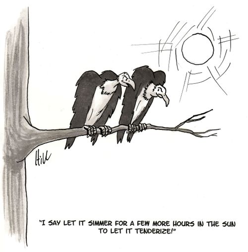 "I say let it simmer for a few more hours in the sun to let it tenderize!"