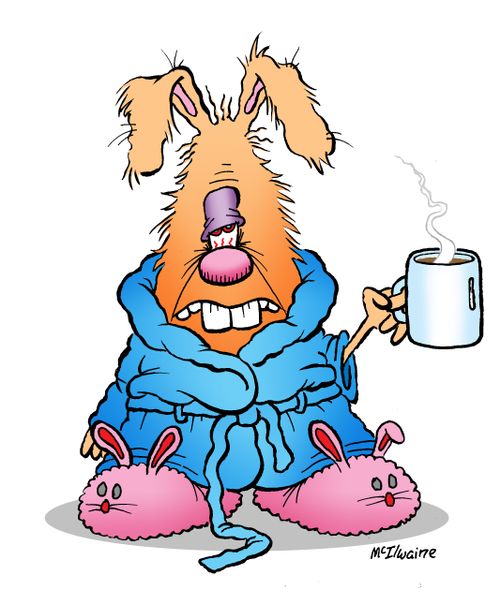 A tired rabbit wearing a dressing gown and slippers