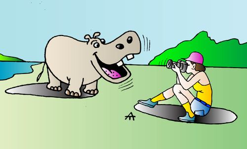 Person taking photo of a hippopotamus.