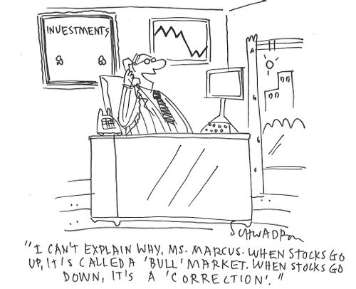"I can't explain why, Ms. Marcus. When stocks go up it's called a 'bull' market. When stocks go down, it's a 'correction'."