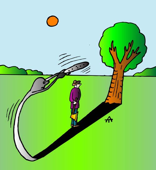 Tree's shadow attacks woodcutter who is hiding his axe.
