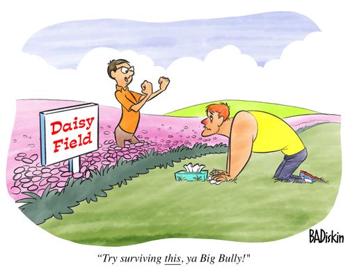 Allergy Bully