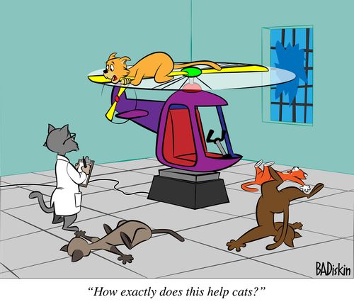 "How exactly does this help cats?"