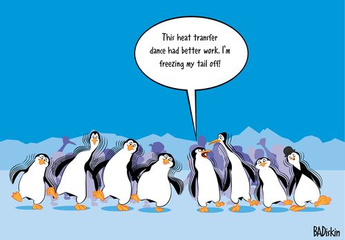 "This heat transfer dance had better work. I'm freezing my tail off!"