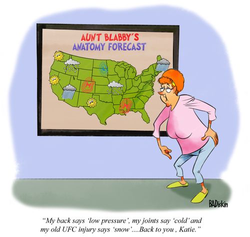 Aunt Blabby Anatomy Forecast
