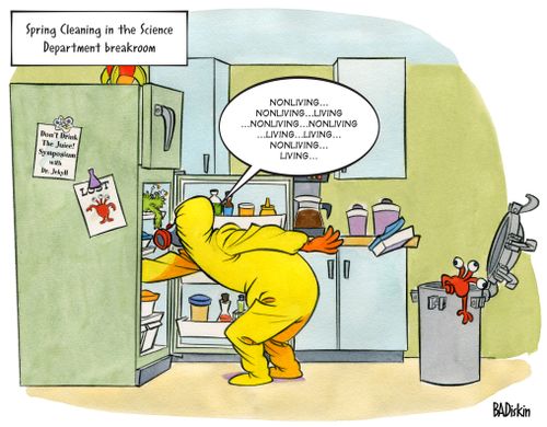 Spring Cleaning In Science Breakroom