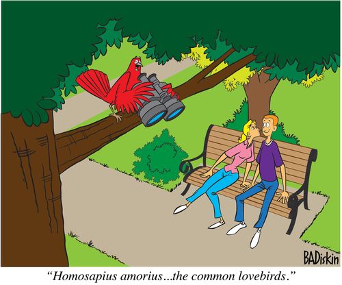 "Homosapius amorius... the common lovebirds."