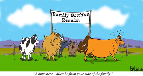 "A bum steer... Must be from your side of the family."