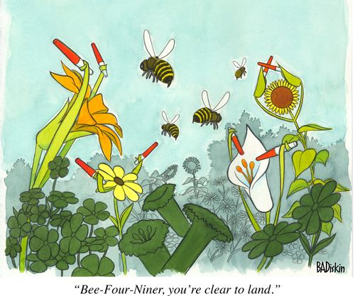 "Bee-Four-Niner, you're clear to land."