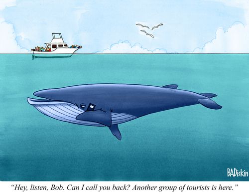 "Hey, listen, Bob. Can I call you back? Another group of tourists is here."