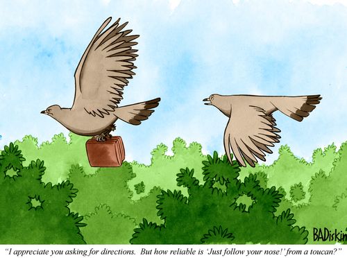 "I appreciate you asking for directions. But how reliable is 'Just follow your nose!' from a toucan?"