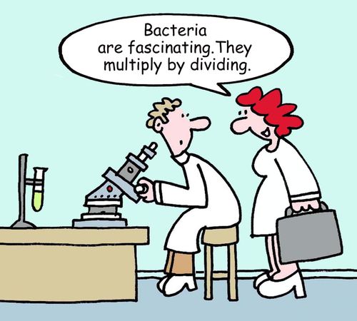 "Bacteria are fascinating. They multiply by dividing."