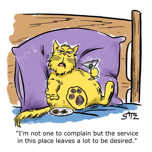 "I'm not one to complain but the service in this place leaves a lot to be desired."