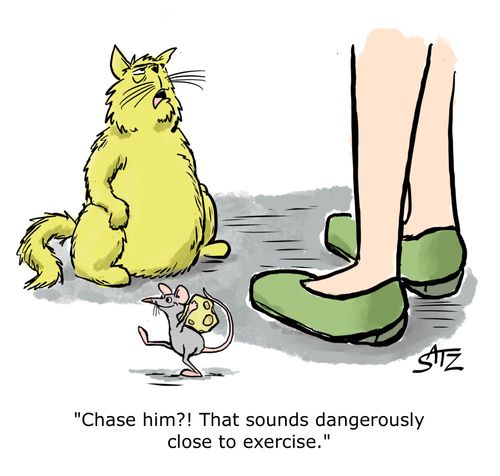 "Chase him? That sounds dangerously close to exercise."